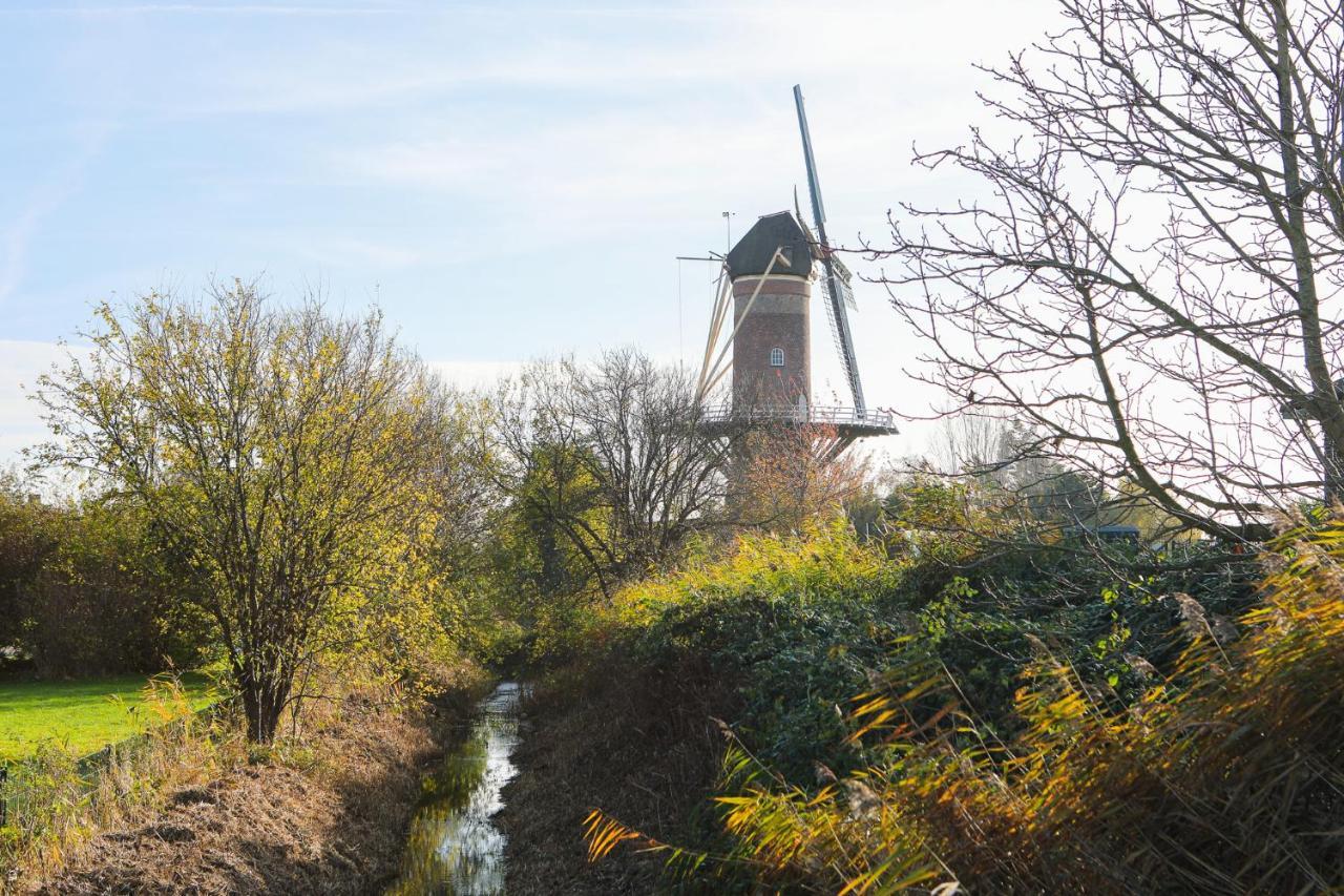 Wolphaartsdijk Huis Met Een Uitzicht Kültér fotó